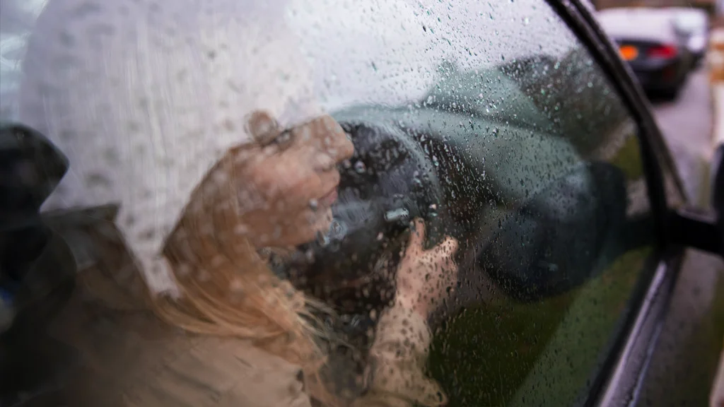 Dia de chuva no carro
